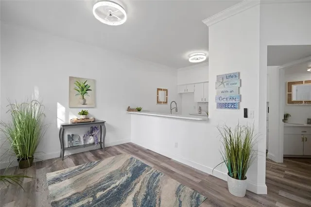 a living room with furniture a window and a potted plant