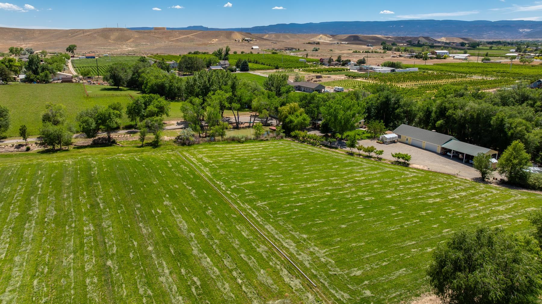 311 34 Road Palisade, CO 81526 - Photo 41 of 42