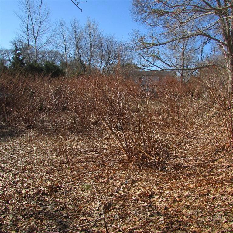 260 Strawberry Hill Road Barnstable, MA 02601 - Photo 9 of 12 Additional Photo