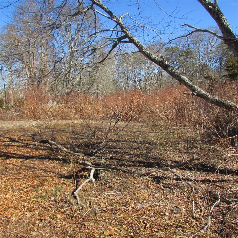 260 Strawberry Hill Road Barnstable, MA 02601 - Photo 10 of 12 Additional Photo