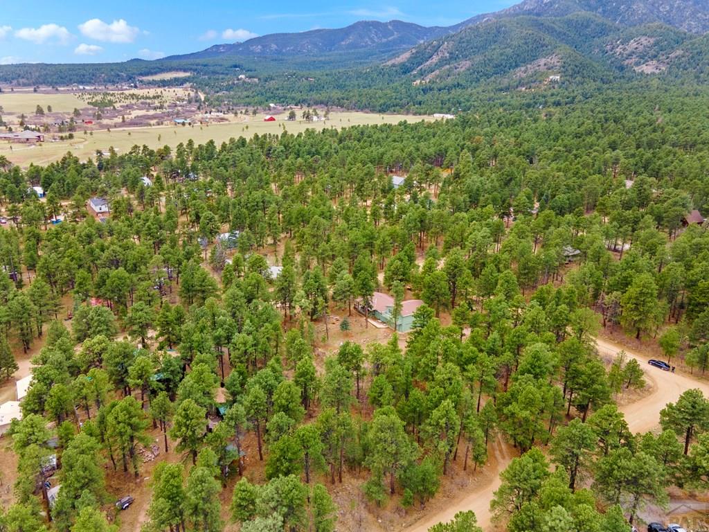 8145 Birch Drive Rye, CO 81069 - Photo 36 of 44
