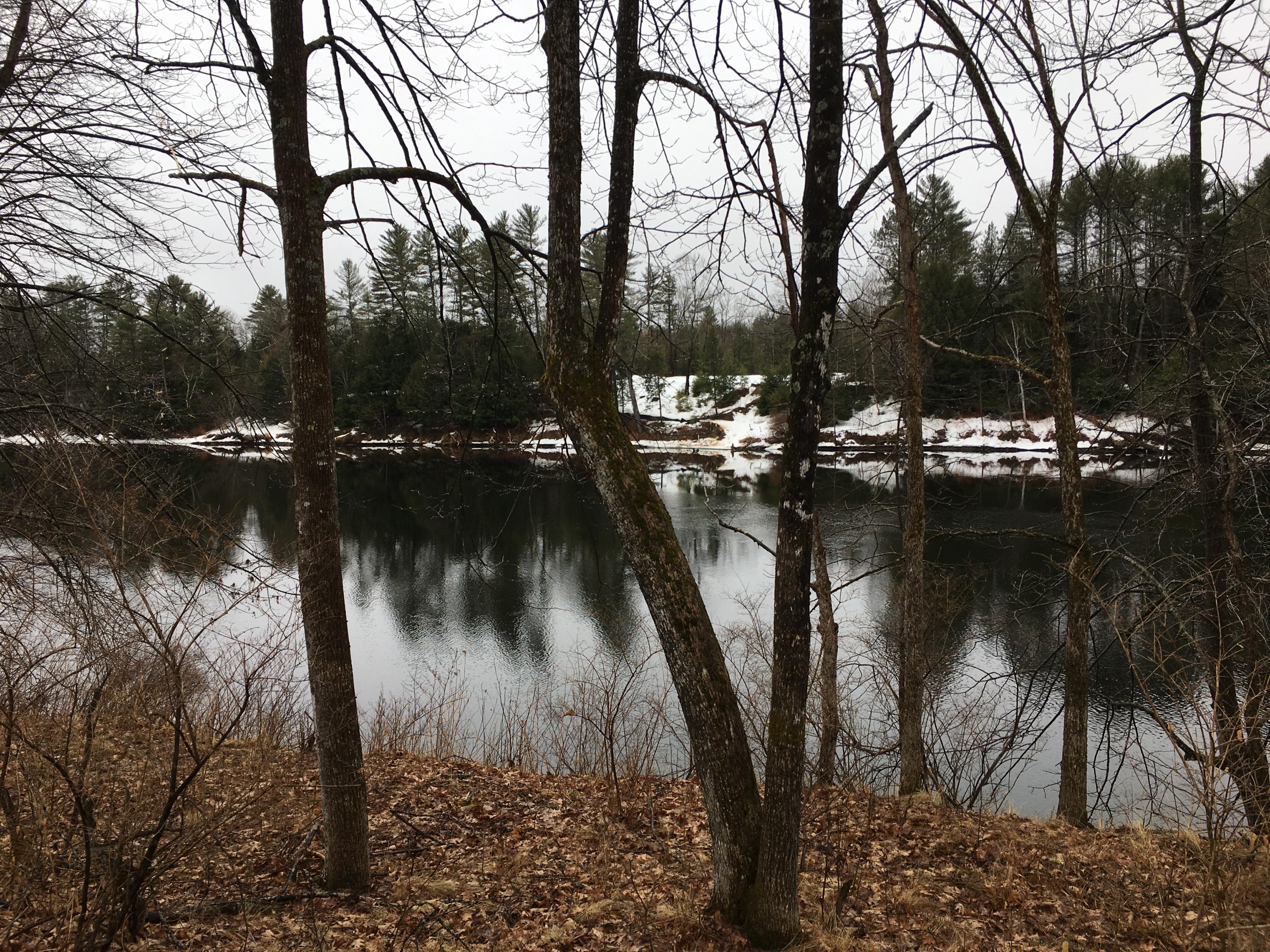 M6-l1-6 Father Rasle Road Norridgewock, ME 04957 - Photo 3 of 19 IMG-1459