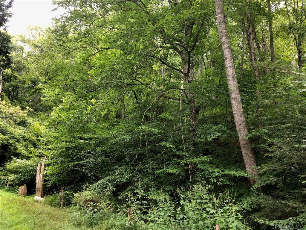 540 Bone Camp Road Marshall, NC 28753 - Photo 22 of 22 Gallery Image 22