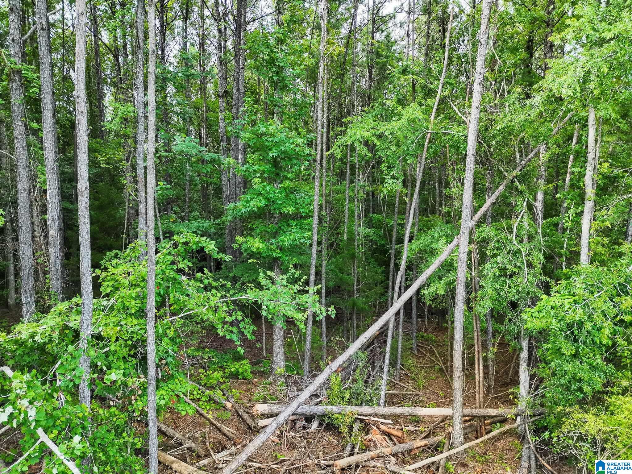 520 County Road, Unit 20 Verbena, AL 36091 - Photo 13 of 19