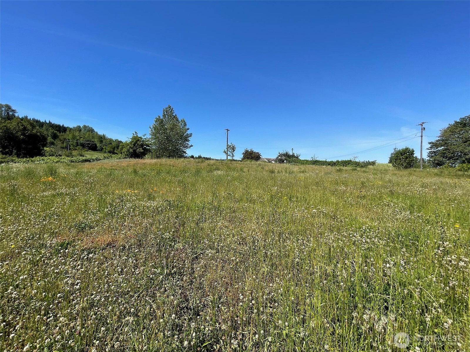 852 South Still Road Sequim, WA 98382 - Photo 9 of 16 Gallery Image 9