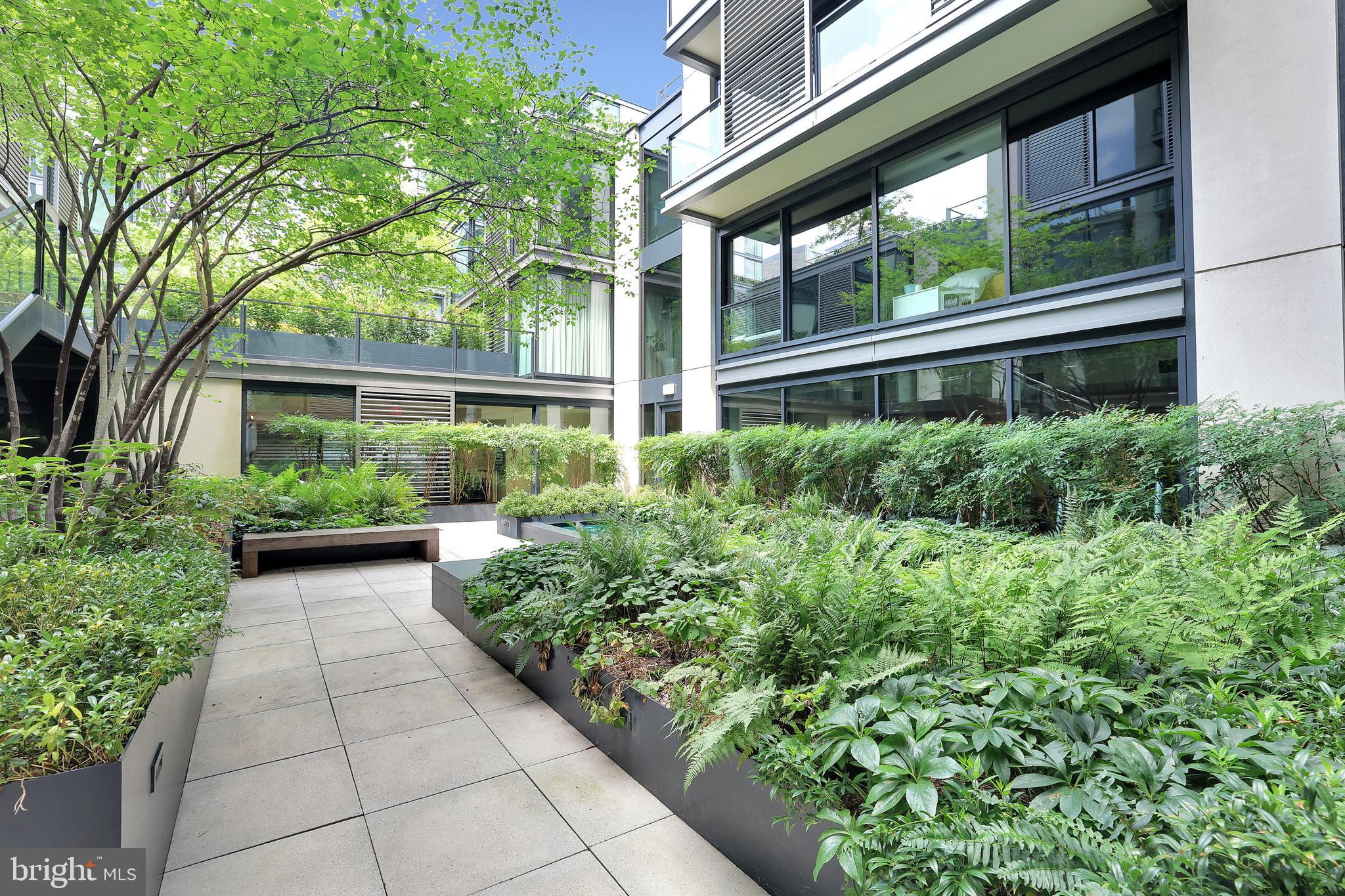 925 H Street Northwest, Unit 506 Washington, DC 20001 - Photo 33 of 36 a view of backyard with potted plants and a large tree
