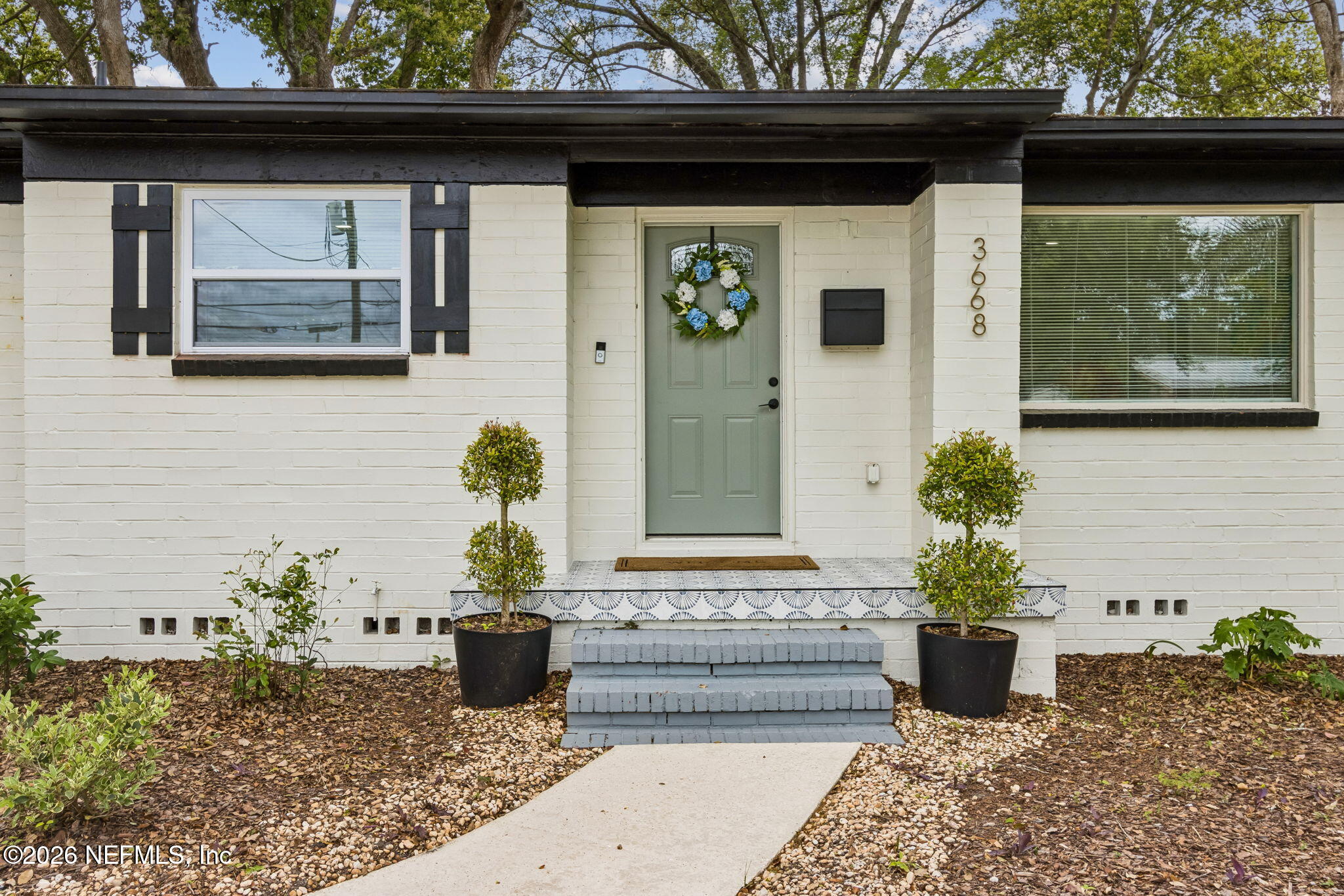 a potted plant sitting on the side of a building