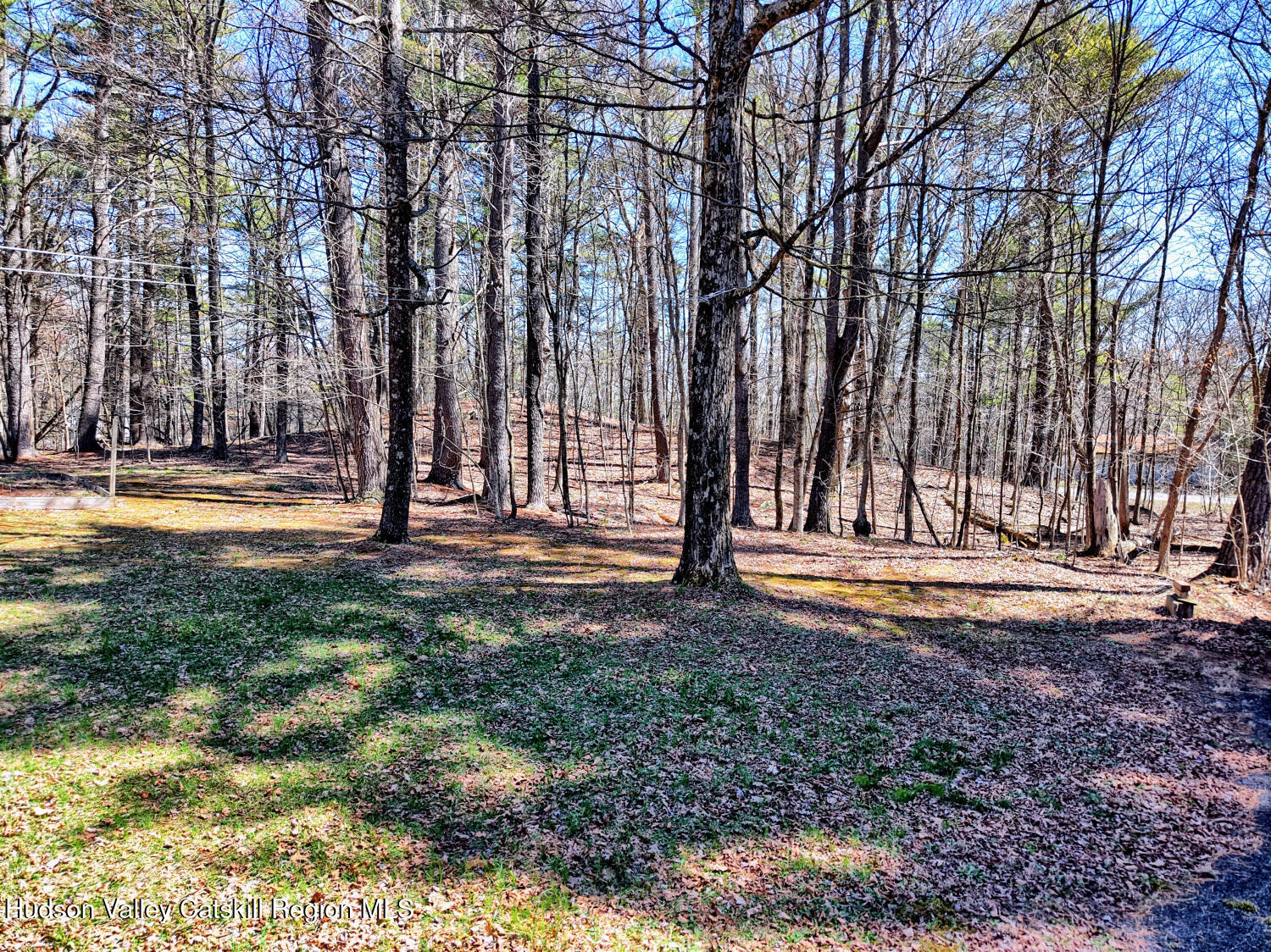 61 Joel M Austin Road Catskill, NY 12413 - Photo 74 of 83 9zzm