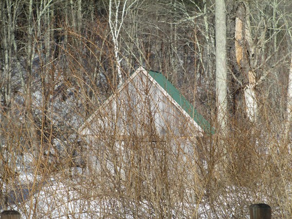 249 Little Alum Road Brimfield, MA 01010 - Photo 6 of 6 Gallery Image 6