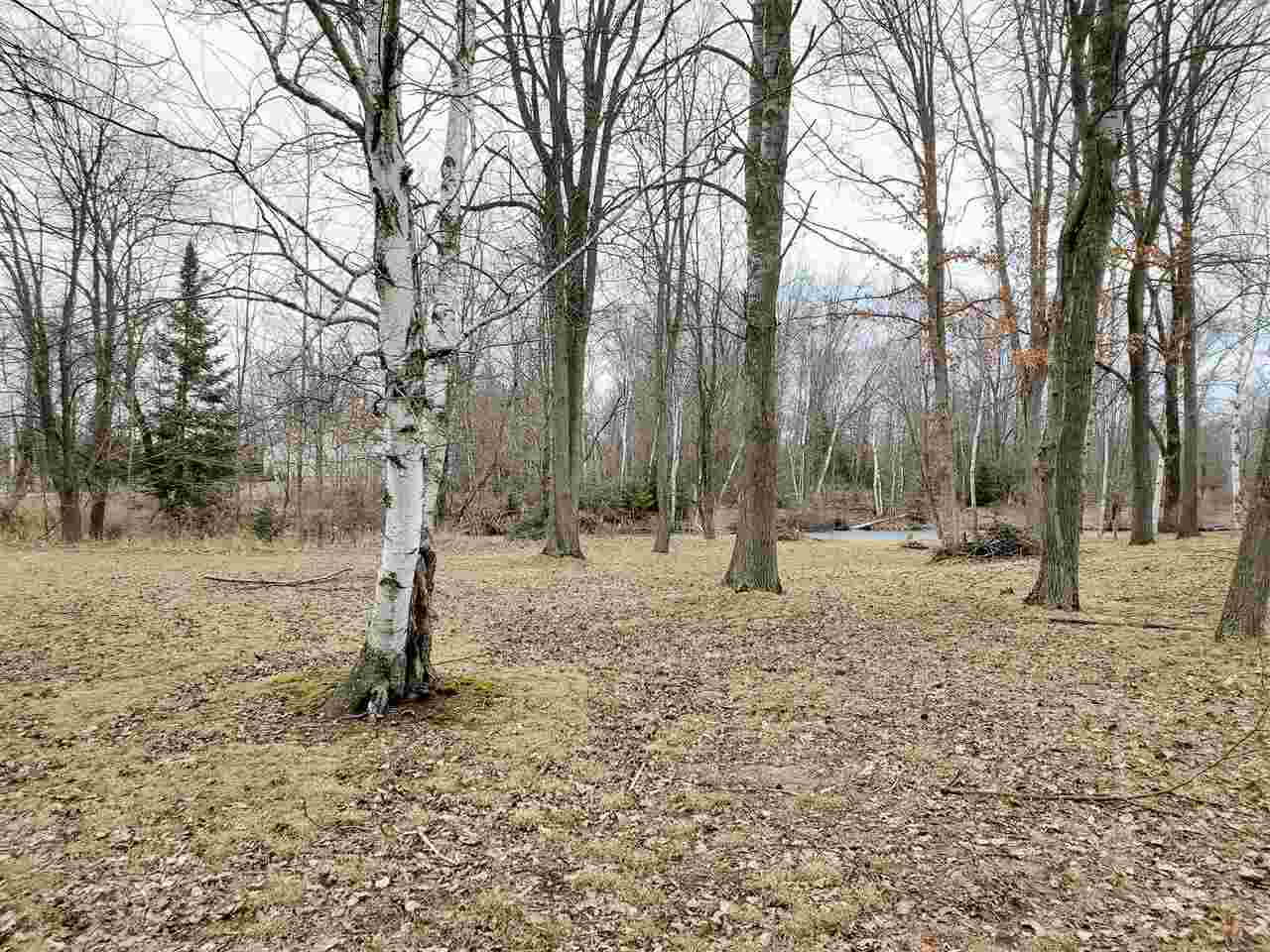 Lot 149 Larch Trail Lake, MI 48632 - Photo 3 of 6