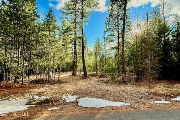 $249,000 | 88 Elton Avenue, Priest River, ID 83856