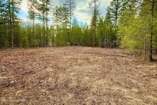 $249,000 | 88 Elton Avenue, Priest River, ID 83856