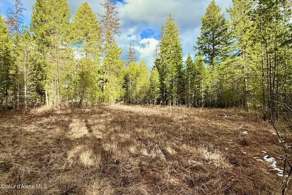 $249,000 | 88 Elton Avenue, Priest River, ID 83856