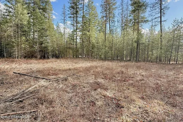 $249,000 | 88 Elton Avenue, Priest River, ID 83856