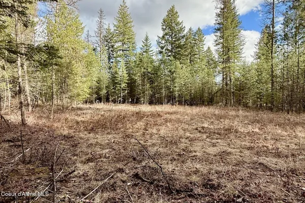 $249,000 | 88 Elton Avenue, Priest River, ID 83856