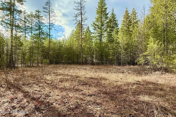 $249,000 | 88 Elton Avenue, Priest River, ID 83856