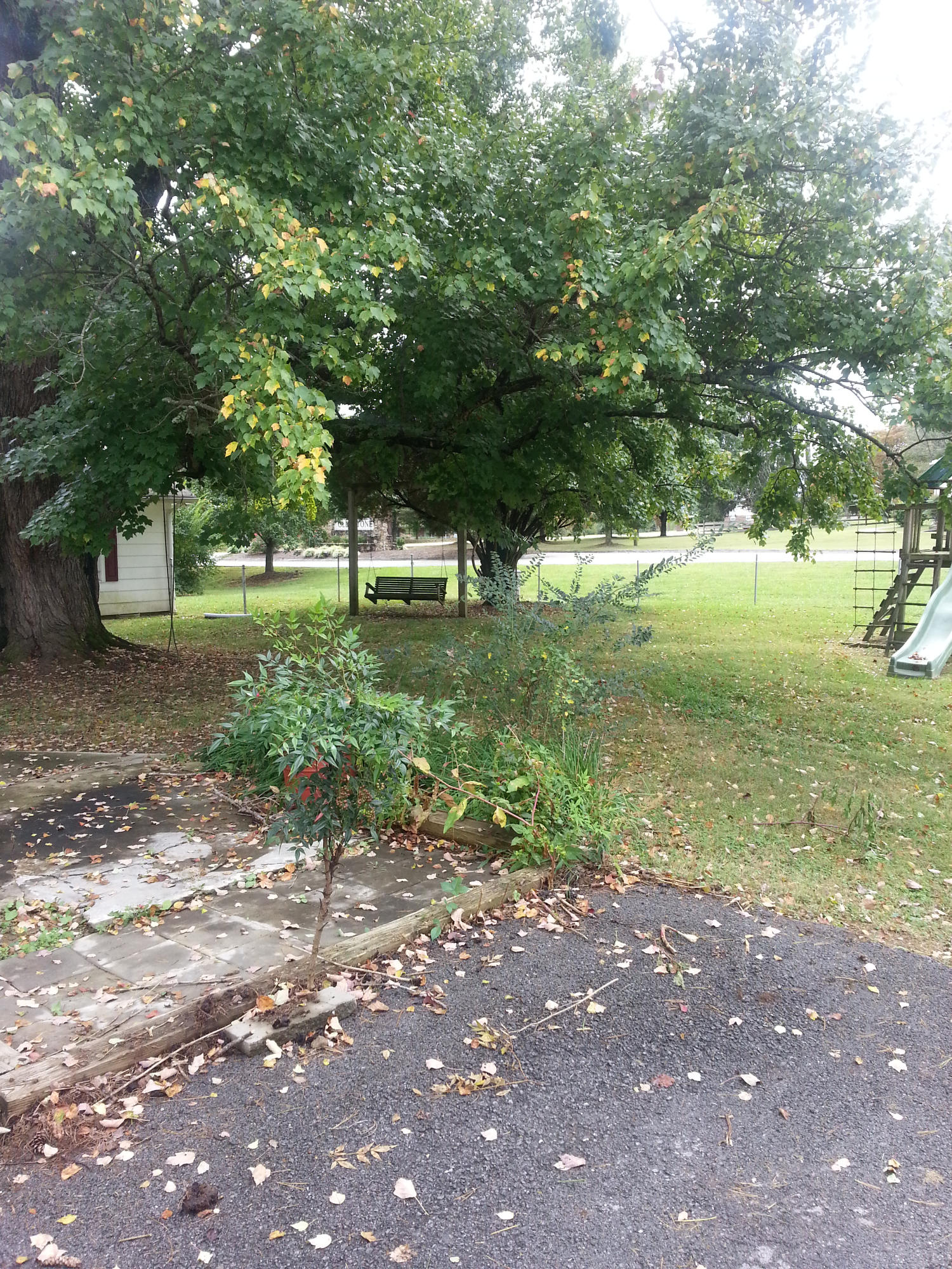 3917 West Emory Road Powell, TN 37849 - Photo 6 of 7 20141003_141709
