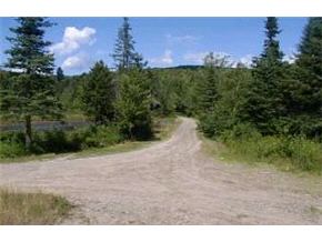 On Beaver Meadow Road Roxbury, VT 05669 - Photo 2 of 7