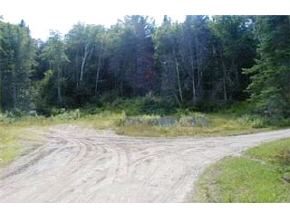 On Beaver Meadow Road Roxbury, VT 05669 - Photo 3 of 7