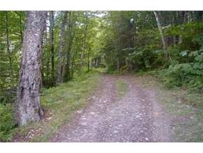 On Beaver Meadow Road Roxbury, VT 05669 - Photo 4 of 7