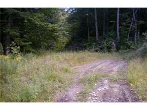 On Beaver Meadow Road Roxbury, VT 05669 - Photo 5 of 7