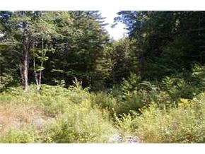 On Beaver Meadow Road Roxbury, VT 05669 - Photo 6 of 7