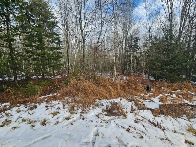 $60,000 | M2-l4 Sacarap Road, Columbia Falls, ME 04623