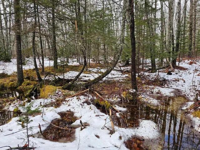$60,000 | M2-l4 Sacarap Road, Columbia Falls, ME 04623