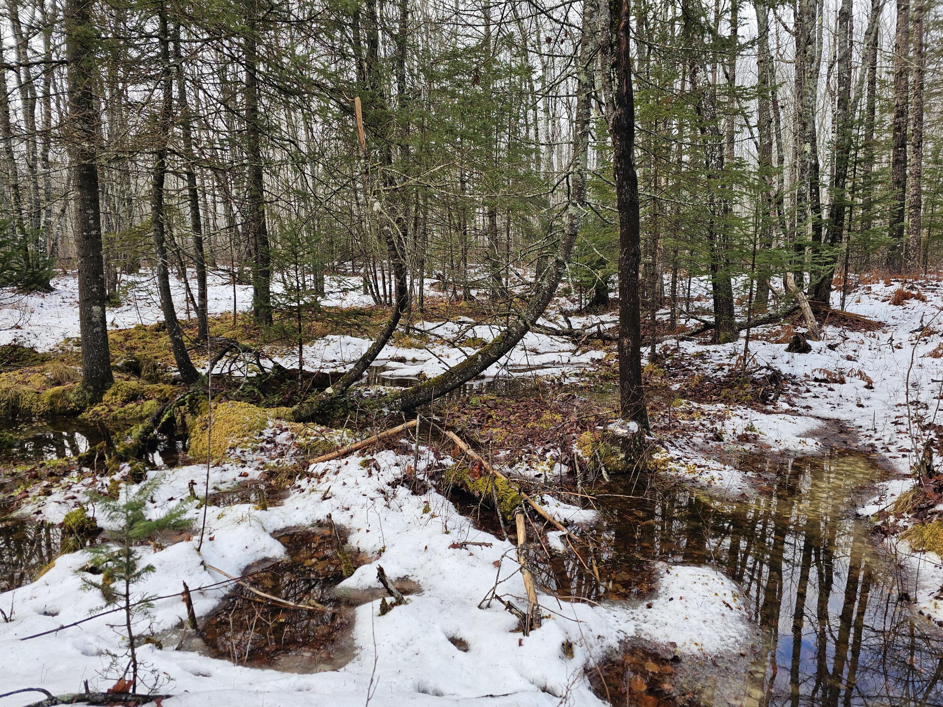 M2-l4 Sacarap Road Columbia Falls, ME 04623 - Photo 13 of 16 20251211_093906