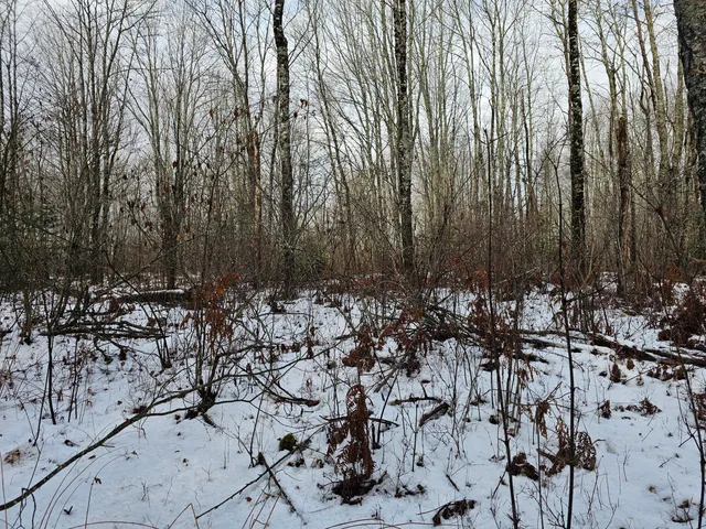 $60,000 | M2-l4 Sacarap Road, Columbia Falls, ME 04623