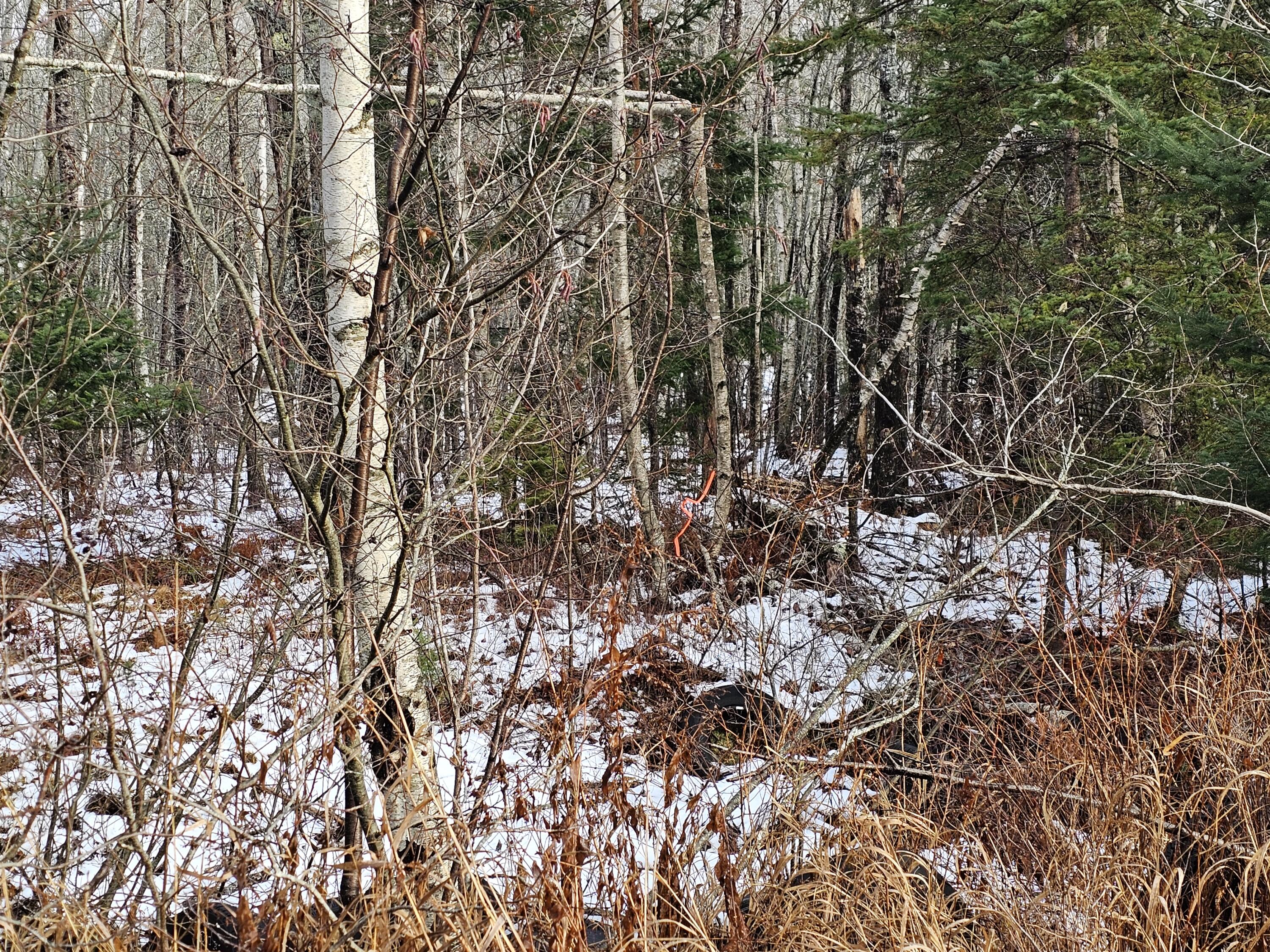 M2-l4 Sacarap Road Columbia Falls, ME 04623 - Photo 4 of 16 20251211_093437