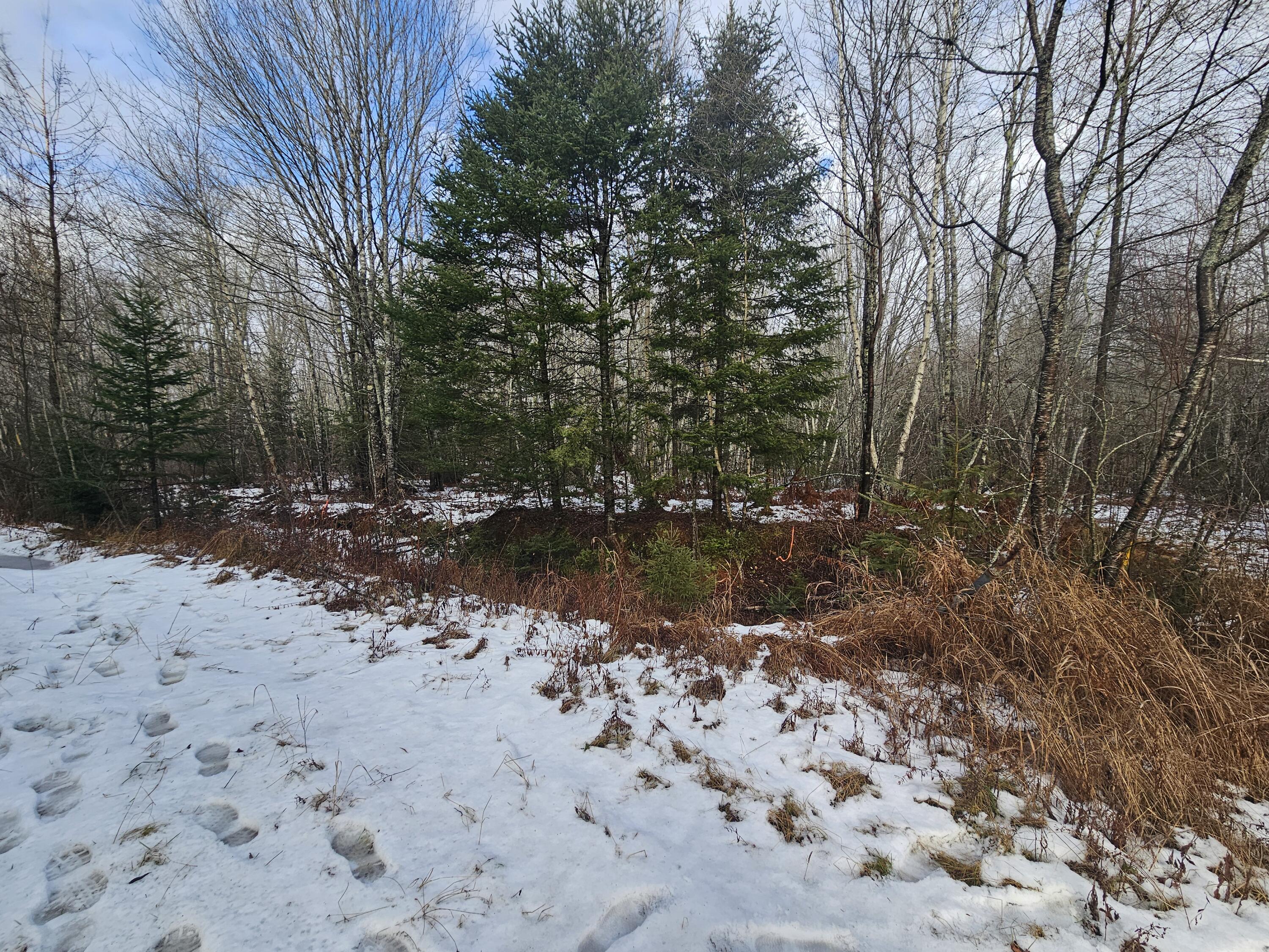 M2-l4 Sacarap Road Columbia Falls, ME 04623 - Photo 6 of 16 20251211_093450