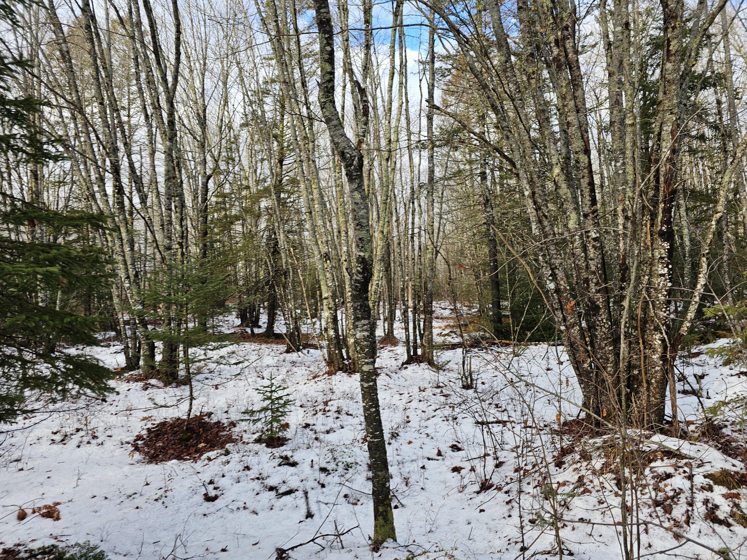 M2-l4 Sacarap Road Columbia Falls, ME 04623 - Photo 6 of 10 20251211_093827