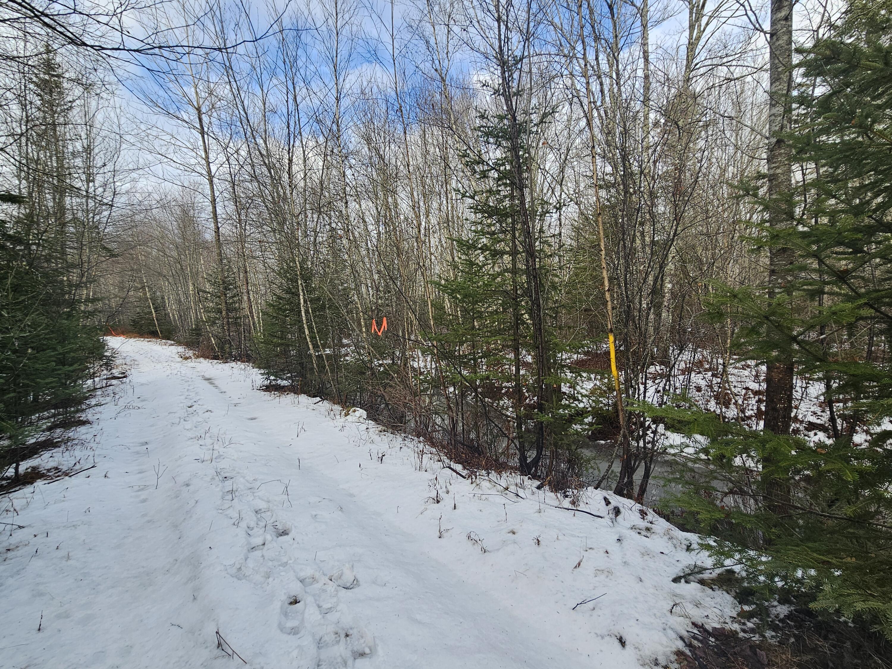 M2-l4 Sacarap Road Columbia Falls, ME 04623 - Photo 7 of 16 20251211_093525