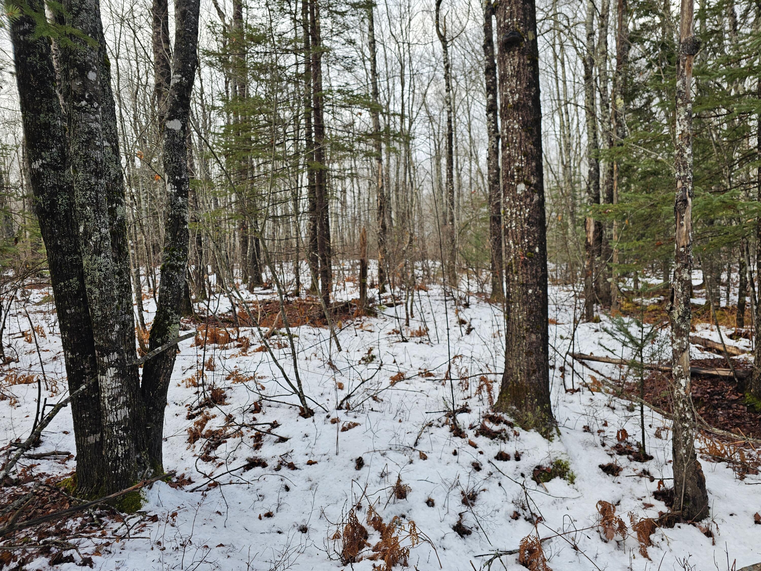 M2-l4 Sacarap Road Columbia Falls, ME 04623 - Photo 8 of 10 20251211_093942