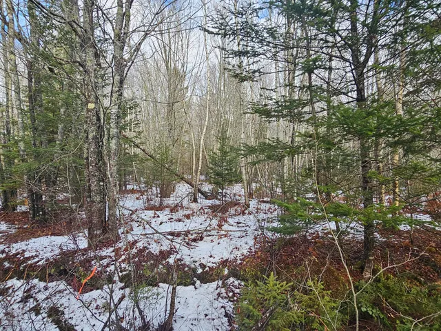 $60,000 | M2-l4 Sacarap Road, Columbia Falls, ME 04623