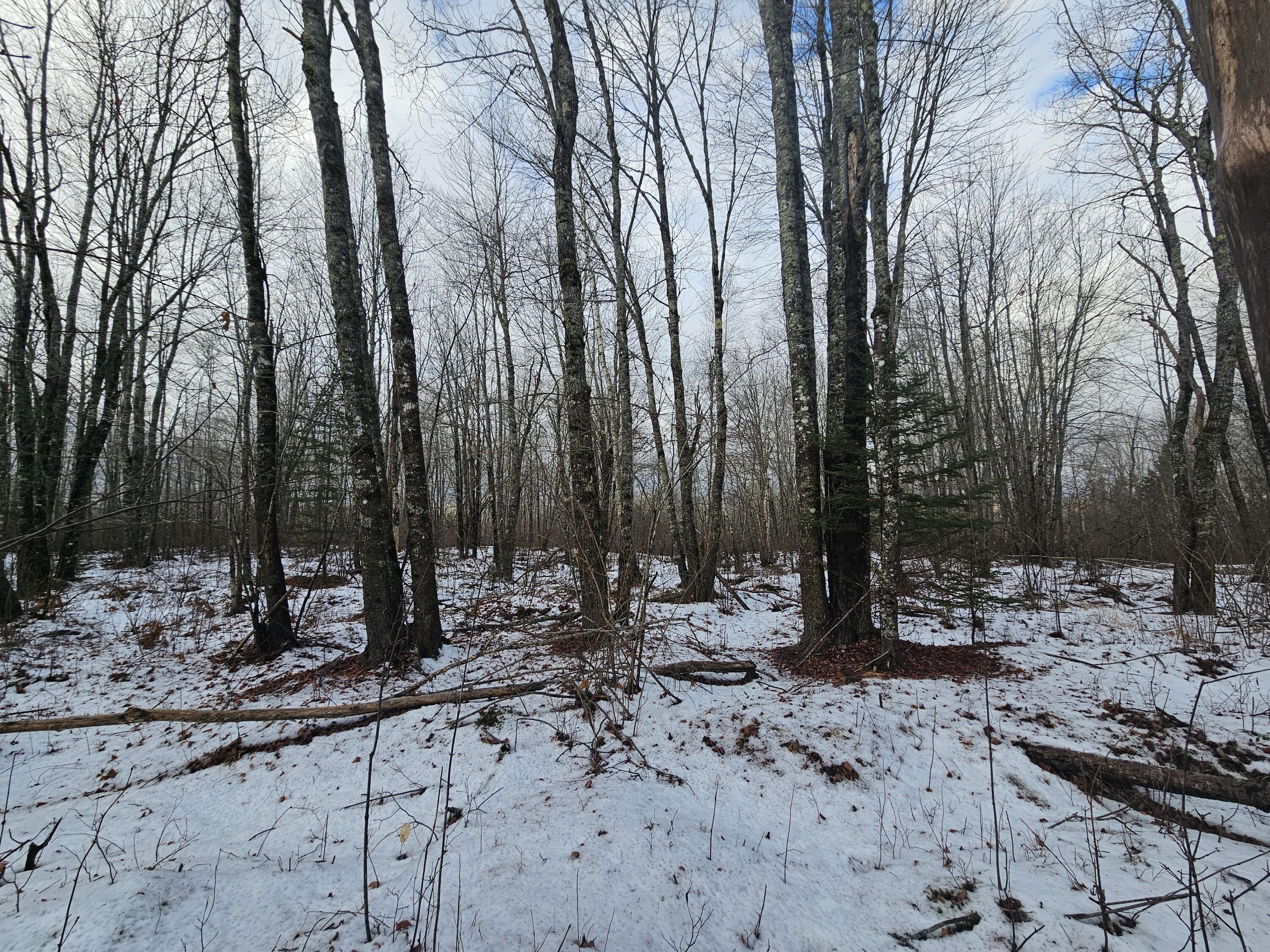 M2-l4 Sacarap Road Columbia Falls, ME 04623 - Photo 10 of 10 20251211_094109