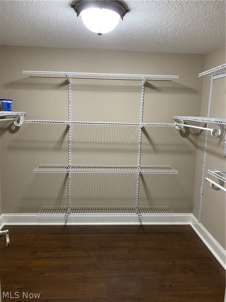 350 Sandhurst Road Akron, OH 44333 - Photo 11 of 16 Walk in closet on lower level.