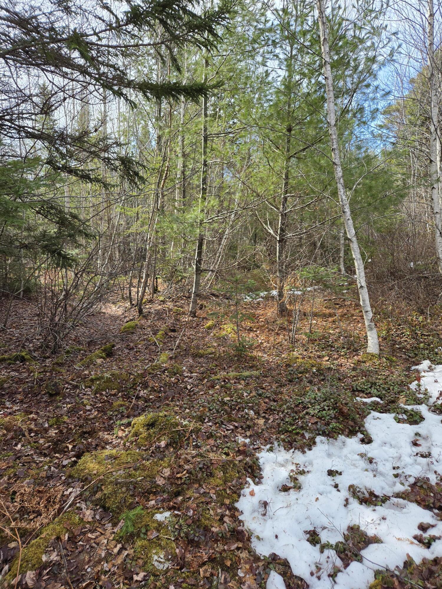 0 Northfield Road Machias, ME 04654 - Photo 1 of 1 20260317_130633