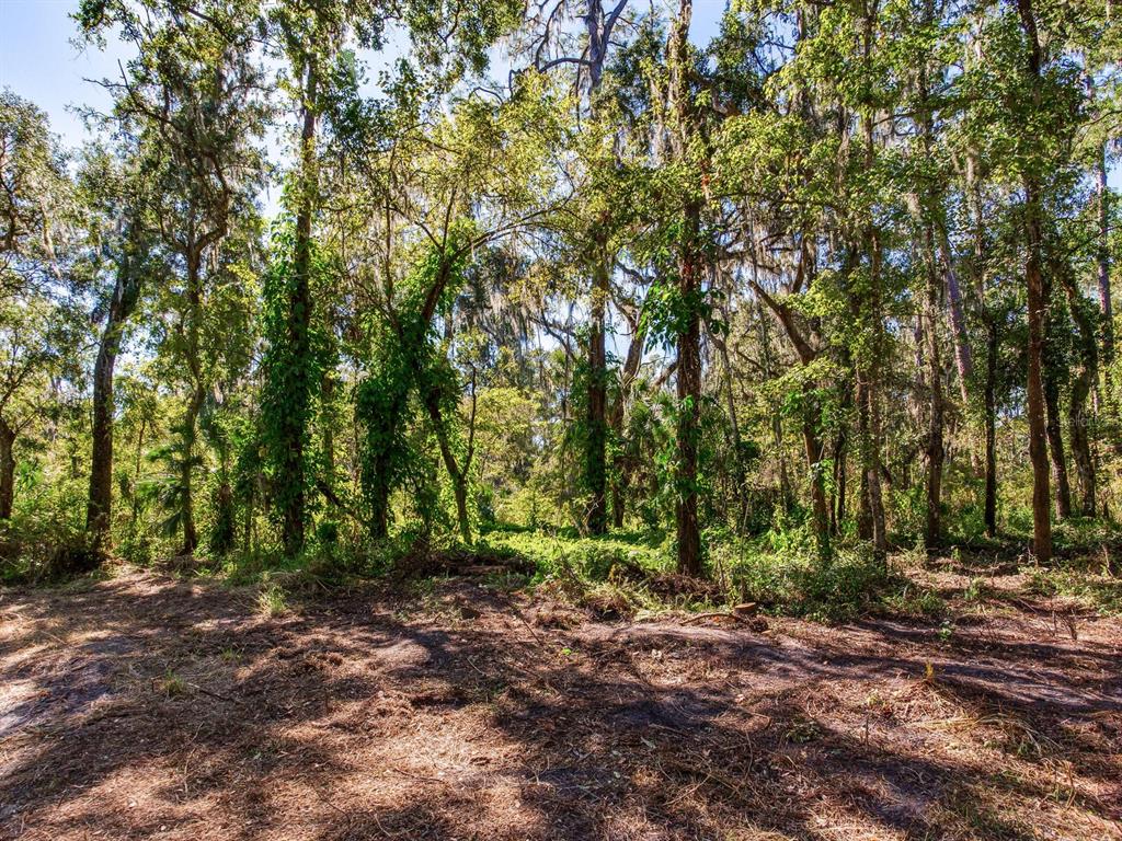 Drawdy Road Plant City, FL 33567 - Photo 16 of 30 Gallery Image 16