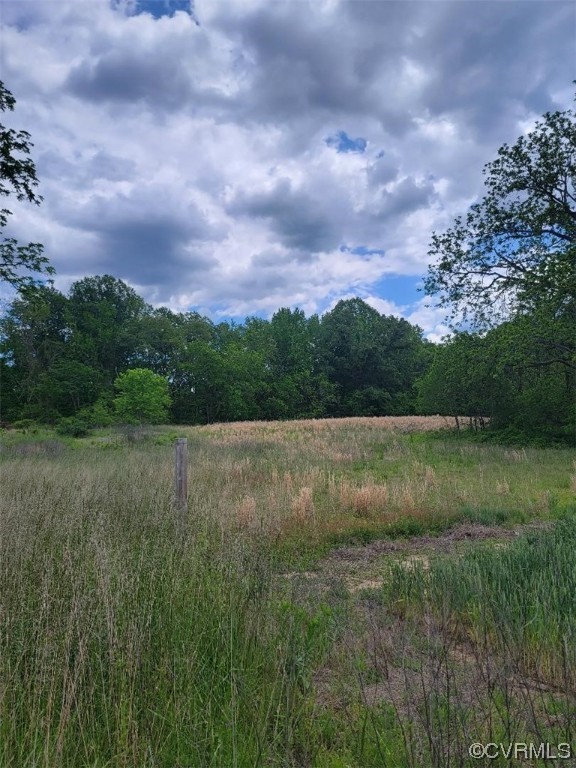 3904 Mulberry Road Warsaw, VA 22572 - Photo 3 of 18 Land