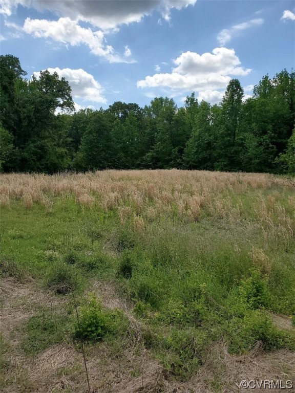 3904 Mulberry Road Warsaw, VA 22572 - Photo 10 of 18 Yard