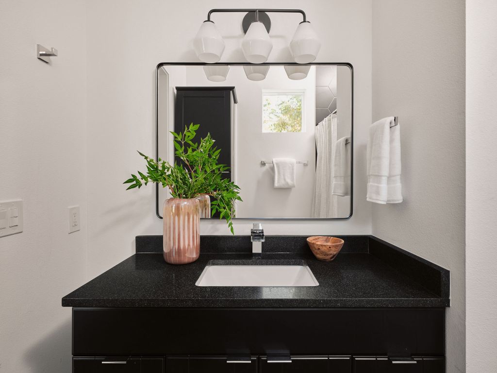 2806 Lyons Road, Unit 1 Austin, TX 78702 - Photo 26 of 39 a view of bathroom with a sink and potted plant