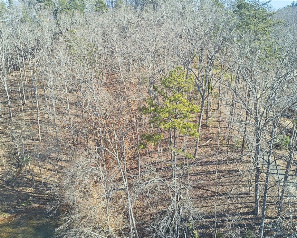 823 Top Ridge Drive Sunset, SC 29685 - Photo 2 of 20 Gallery Image 2