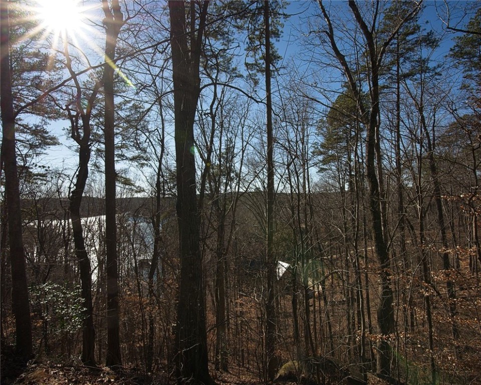 823 Top Ridge Drive Sunset, SC 29685 - Photo 6 of 20 Gallery Image 6