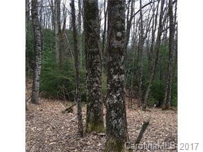Tbd Whitaker Road, Unit LOT 3 Fairview, NC 28730 - Photo 1 of 1 Gallery Image 1