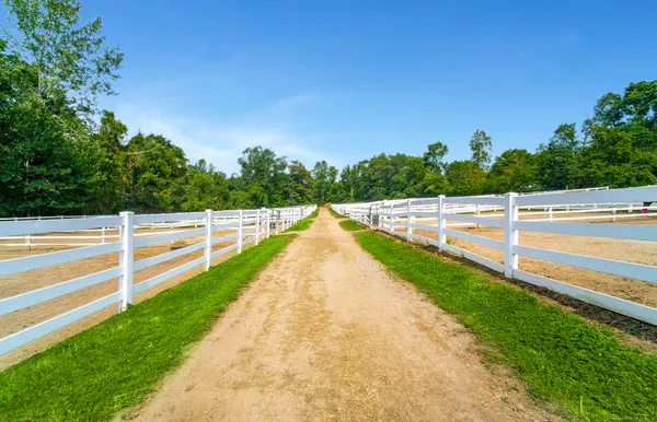 a view of an outdoor space and a yard