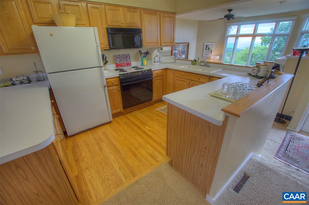 10 Shenandoah Ridge Roseland, VA 22967 - Photo 4 of 30 Gallery Image 4