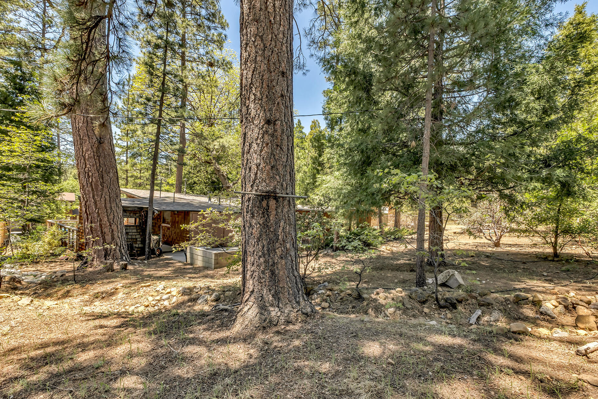 25270 Palomar Road Idyllwild, CA 92549 - Photo 42 of 60 a view of a backyard with large trees
