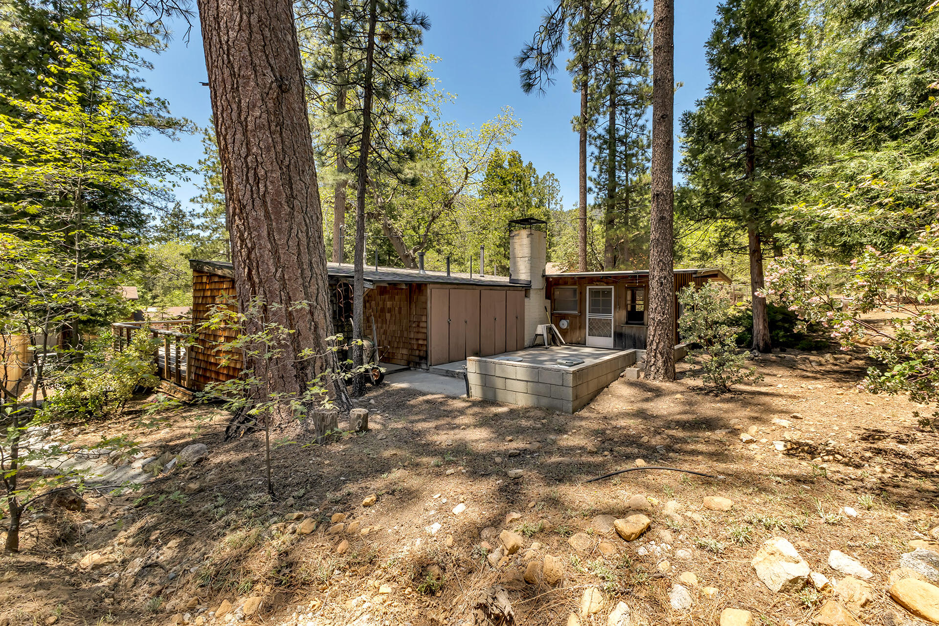25270 Palomar Road Idyllwild, CA 92549 - Photo 43 of 60 a view of a yard with a tree